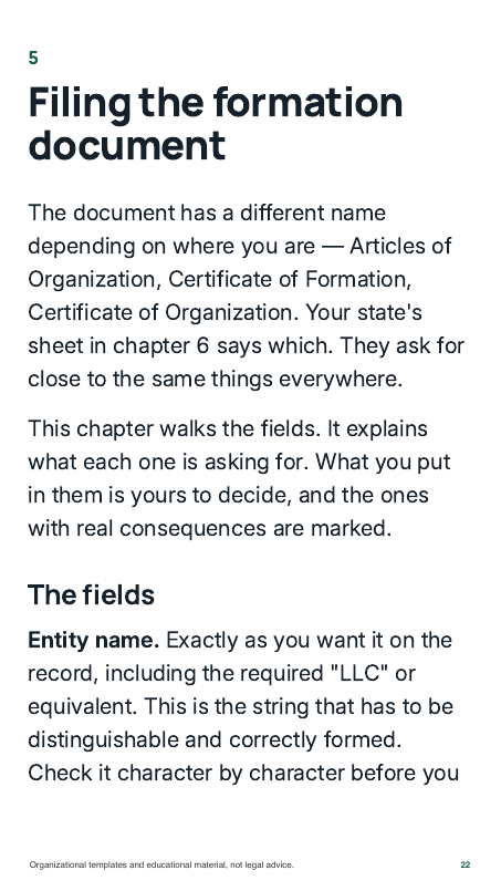 Chapter page: filing the formation document, field by field